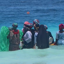 Fishing women